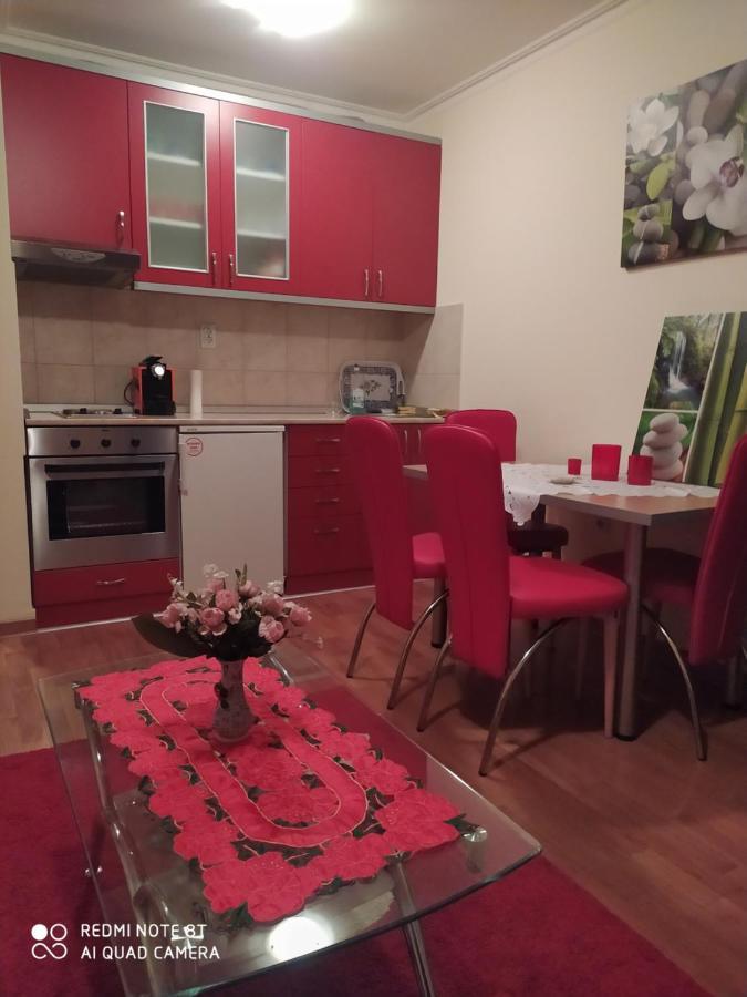 Apartman Arsenijevic Vrnjačka Banja Εξωτερικό φωτογραφία